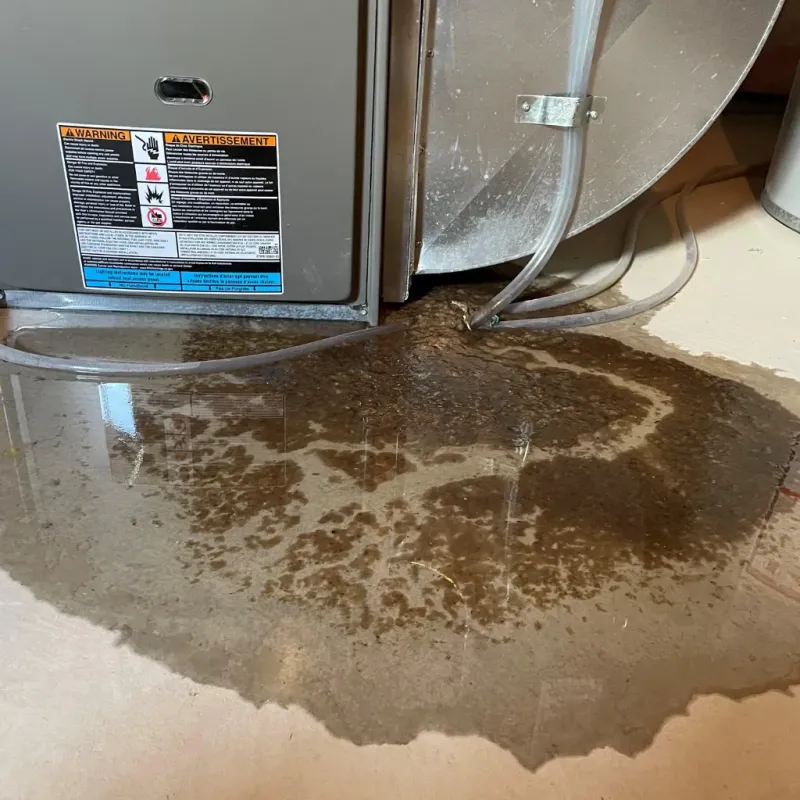 Appliance Leak Cleanup in Clay County, NE